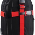 Red Double Protection Luggage Strap