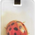 Personalized Ladybug Luggage Tag