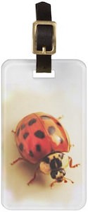 Personalized Ladybug Luggage Tag