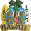 Hawaii Fridge Magnet