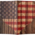 US Flag Wood Theme Passport Cover